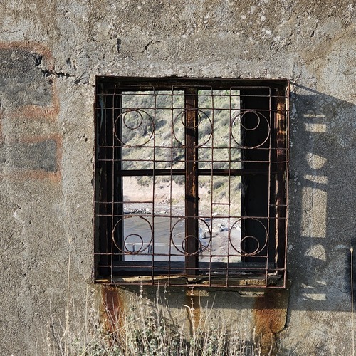 Photo #13785114
