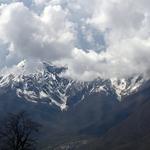 Photo #13785145