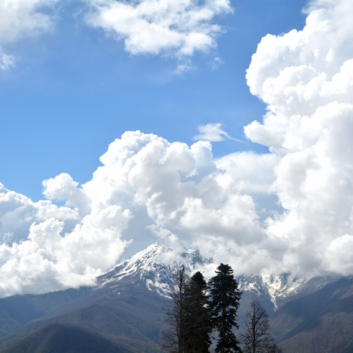 Photo #13785146