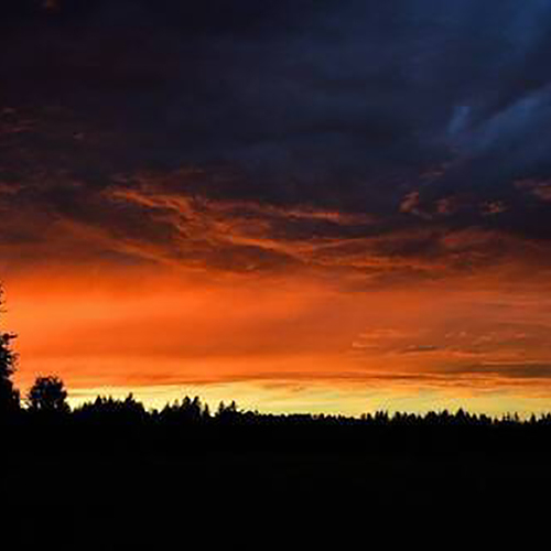 Photo #13785154