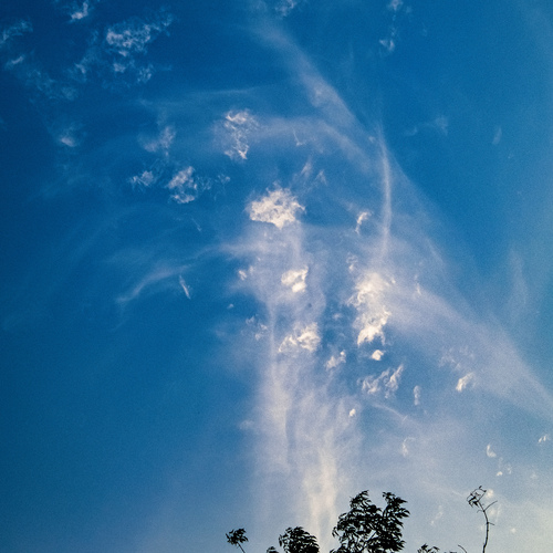 Photo #13785160