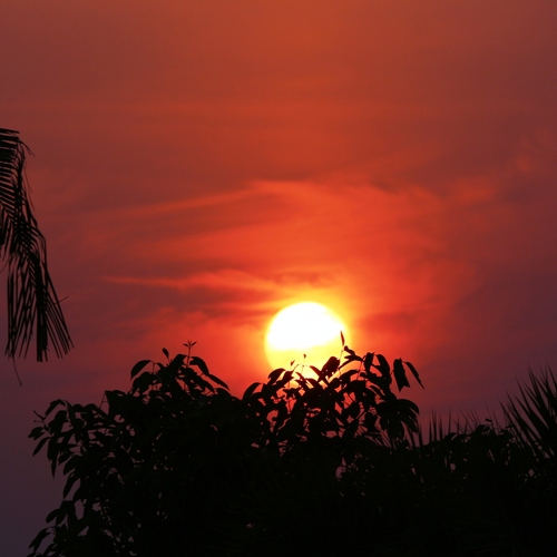 ID: The Perfect Sunset