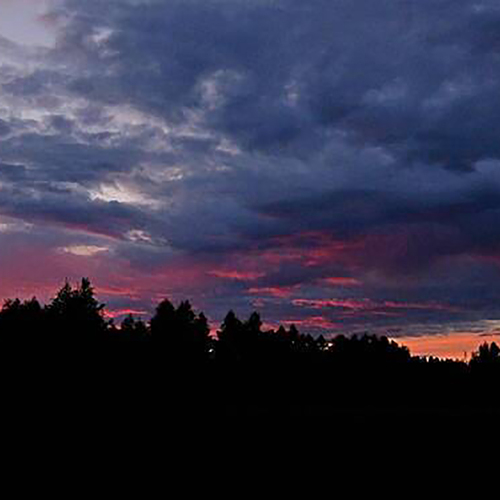 Photo #13785170