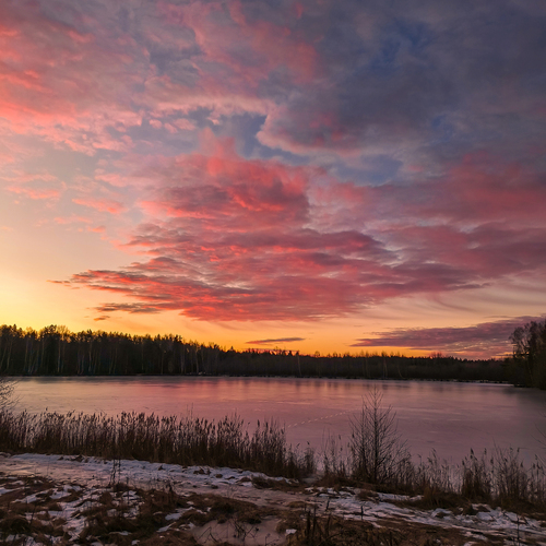 Photo #13785223