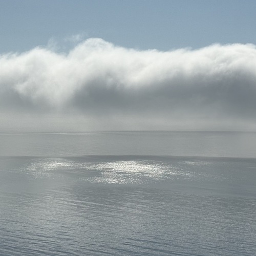 Photo #13785225