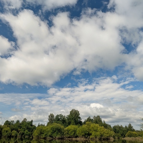 Photo #13785226