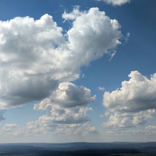 Photo #13785233