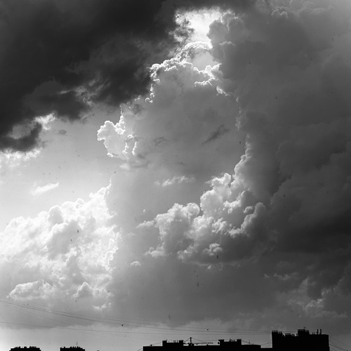 Photo #13785266
