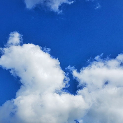Photo #13785304