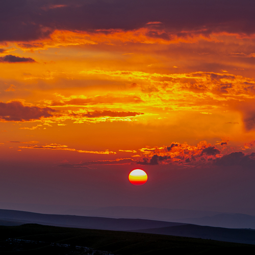 Photo #13785326