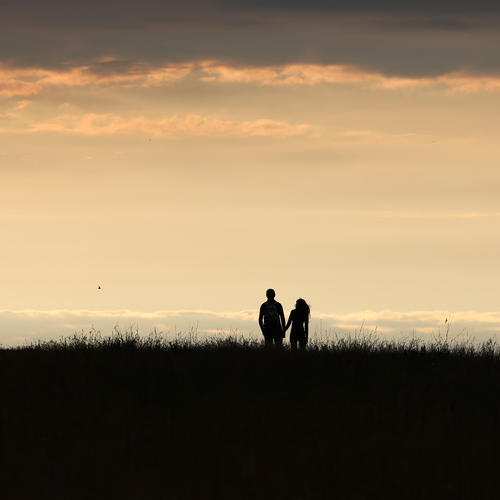 Photo #13785330