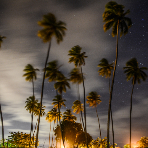 NIGHT SKY
