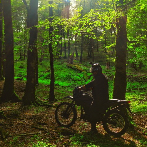 Photo #13785365
