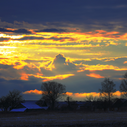 Photo #13785388