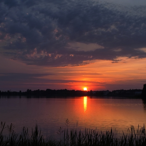 Photo #13785395