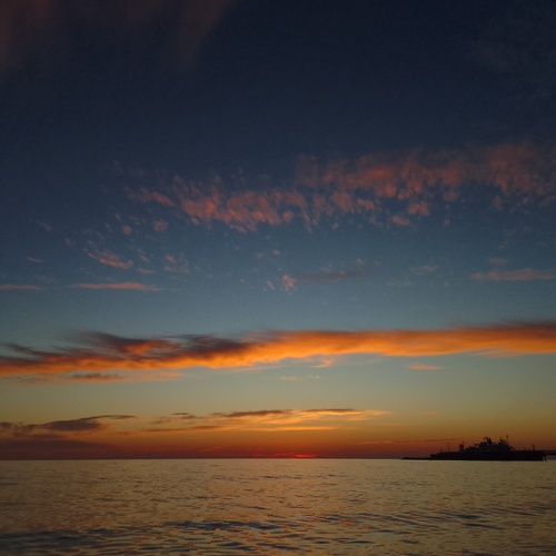 Photo #13785443