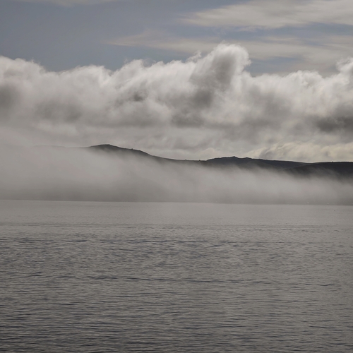 Photo #13785447