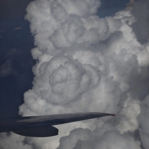 Photo #13785448