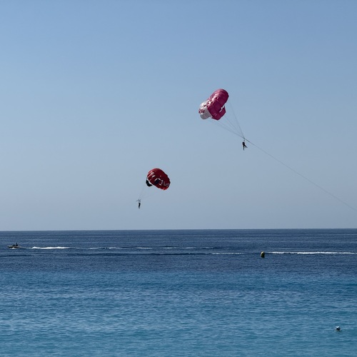Photo #13785466