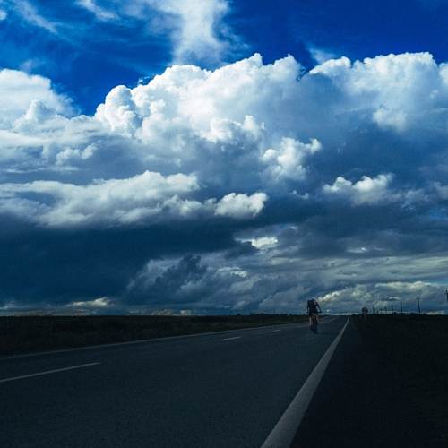 Photo #13785469