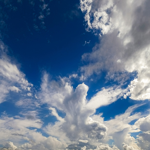 Photo #13785471
