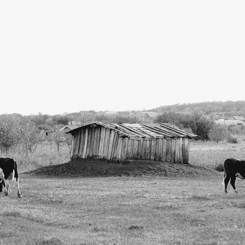 Photo #13785477