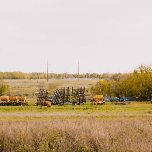 Photo #13785478