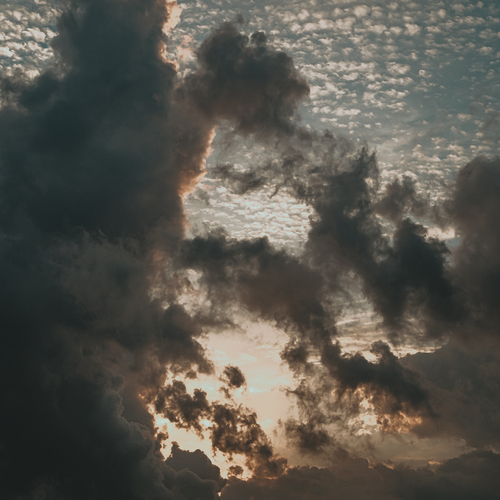 Photo #13785482