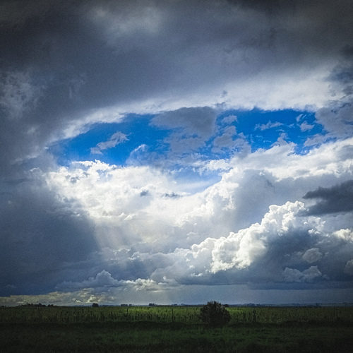 Photo #13785488