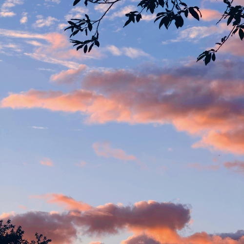 Photo #13785498