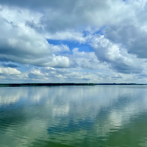 Photo #13785499
