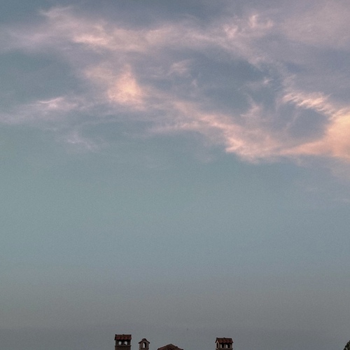 Photo #13785519
