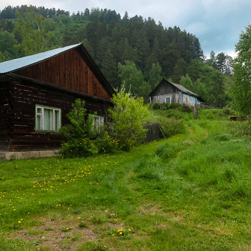 Photo #13785534