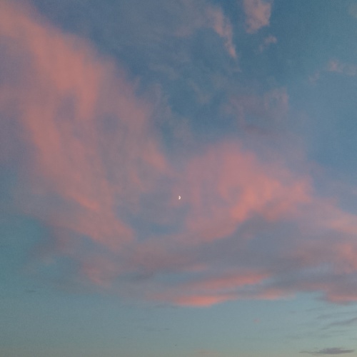 Photo #13785542