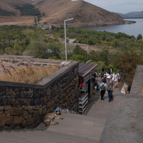 Photo #13785572
