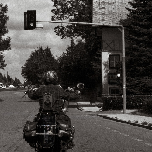 Photo #13785601