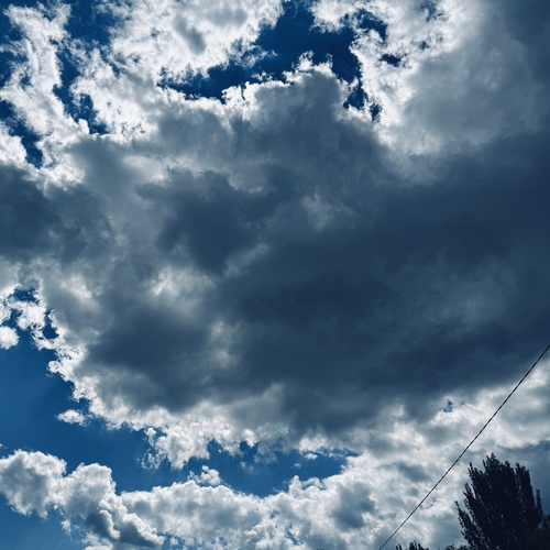 Photo #13785623
