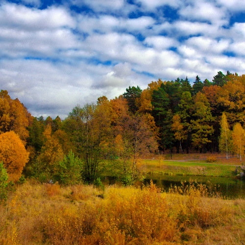 Photo #13785645