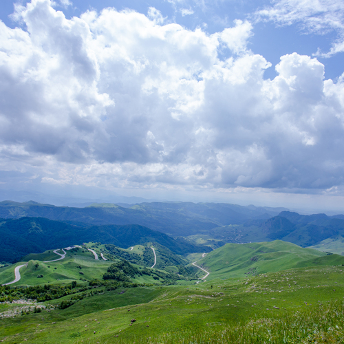 Photo #13785674