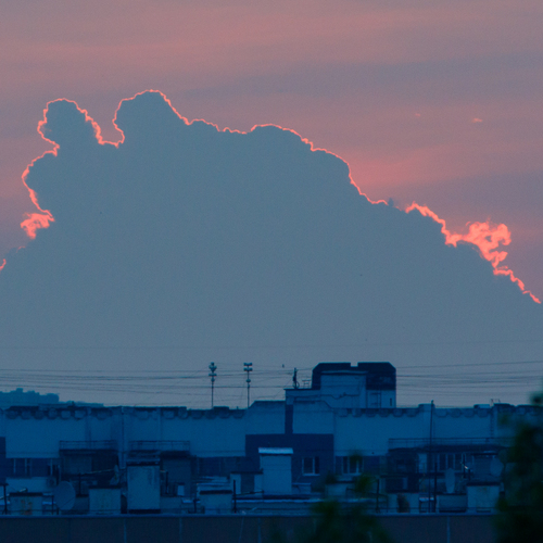 Photo #13785696