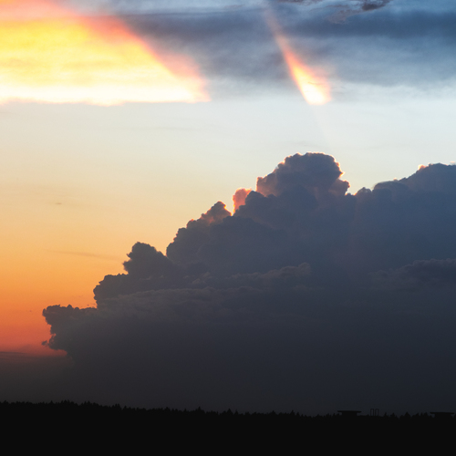 Photo #13785718