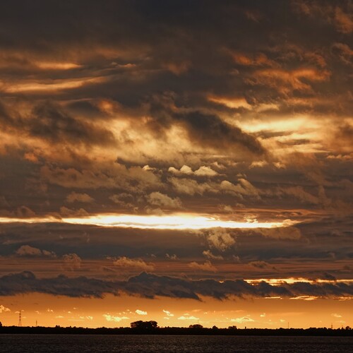 Photo #13785724