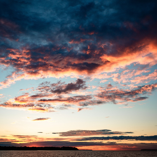 Photo #13785730