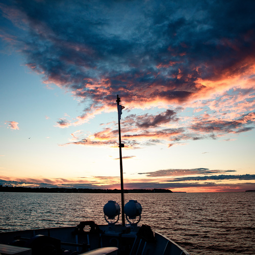 Photo #13785736