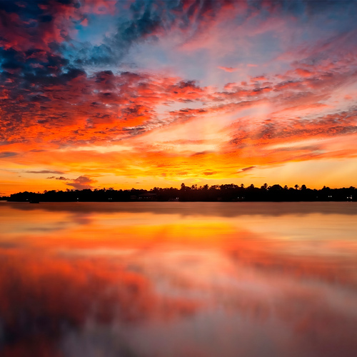 Photo #13785738
