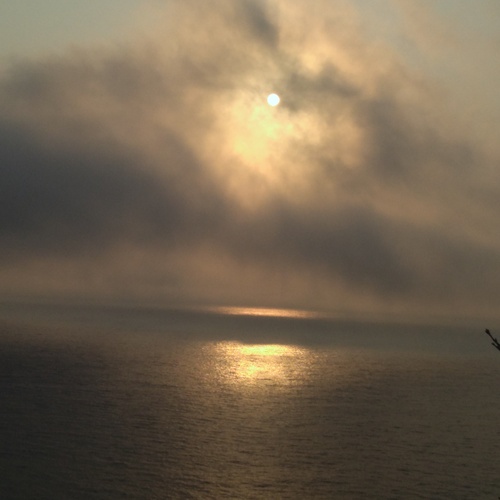 Photo #13785742
