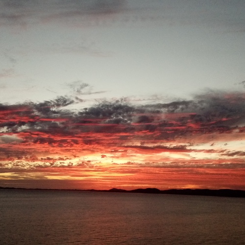 Photo #13785743