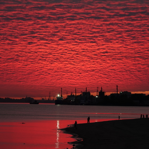 Photo #13785746