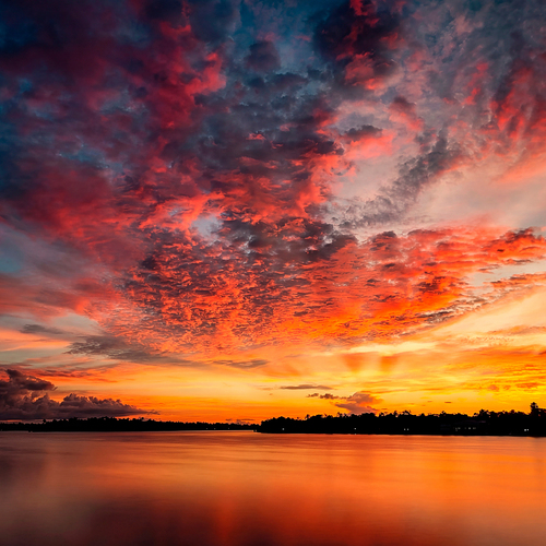 Photo #13785748