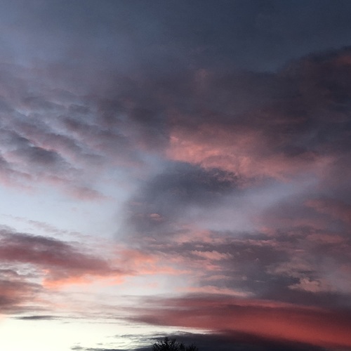 Photo #13785784
